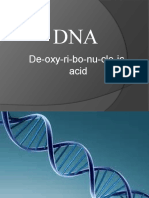 De Oxy Ri Bo Nu Cle Ic Acid