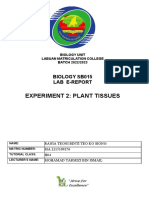 Experiment 2: Plant Tissues: Biology Sb015 Lab E-Report