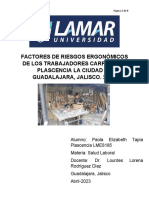 Factores de Riesgos Ergonómicos de Los Trabajadores Carpintería Plascencia La Ciudad de Guadalajara, Jalisco. 2023