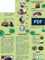 Fertilizantes caseros para agricultores