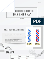The Differences Between: Dna and Rna