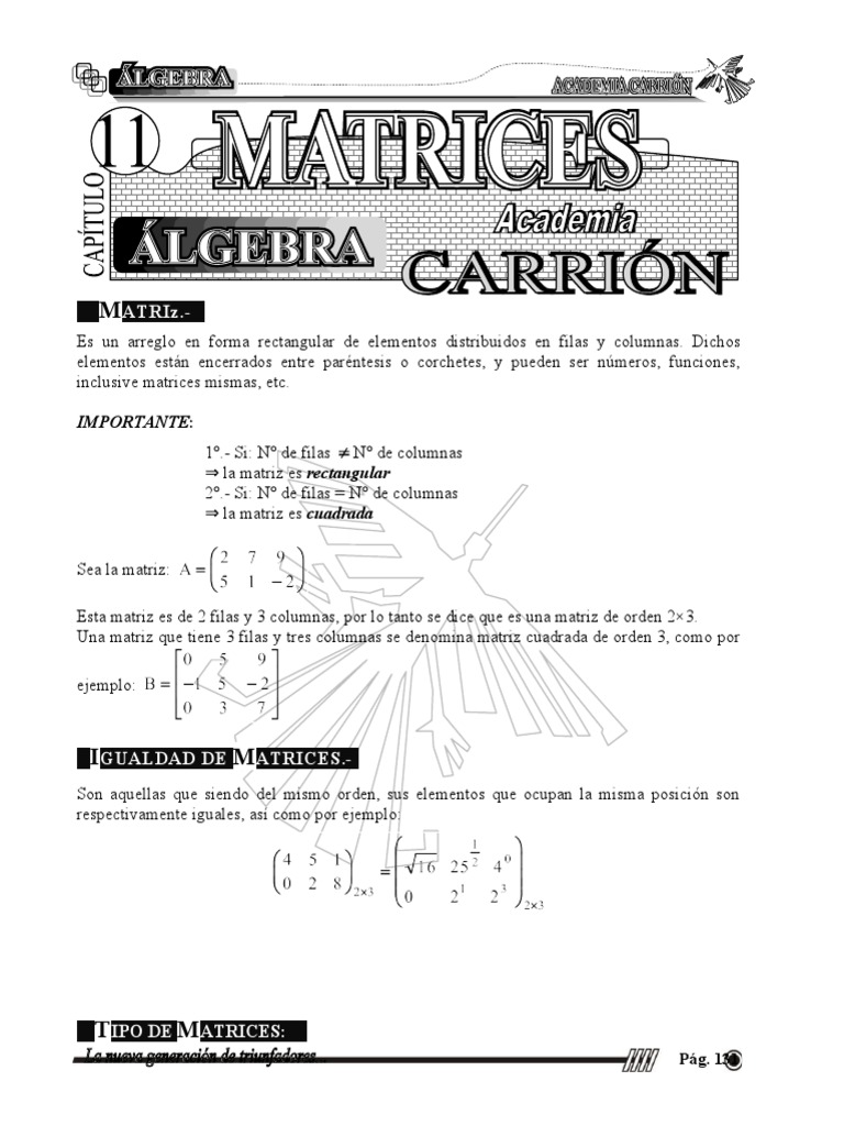 Cap 11 - Matrices | PDF | Matriz (Matemáticas) | Determinante