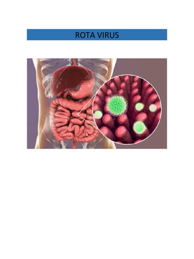 Rota Virus | PDF