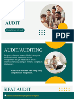 Audit Profesi