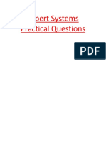 Expert Systems Practical Questions