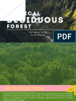Decidious Forest