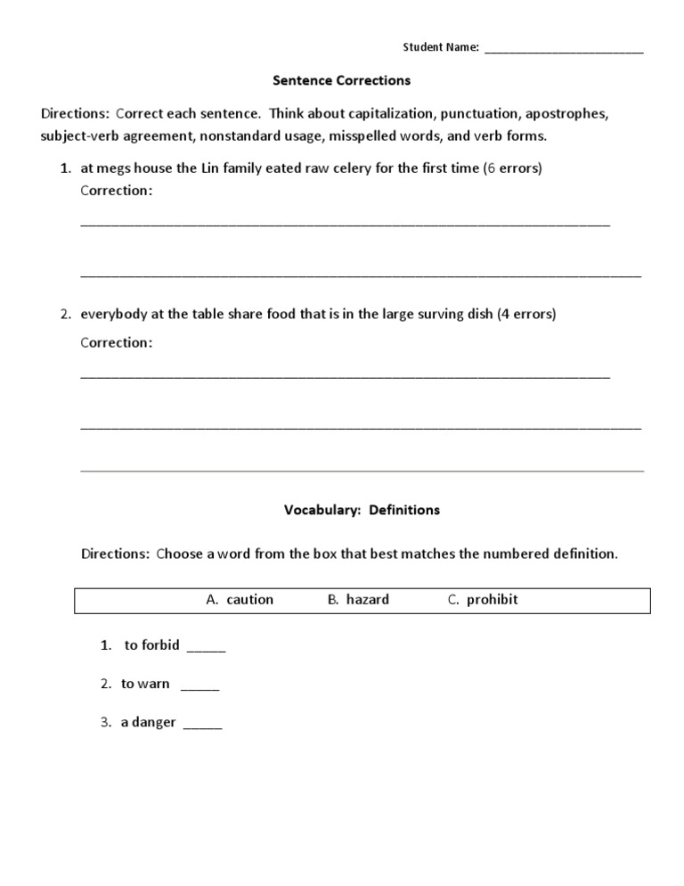 Sentence Corrections (0825) | PDF