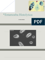 1.entamoeba Histolytica-1