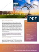 Sustainable and Responsible Investment: Key Features
