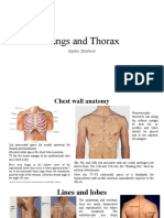 Lungs and Thorax: Sophie Tatishvili