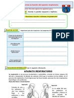 D3 A1 FICHA CT. Conocemos La Función Del Aparato Respiratorio.