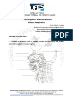 Estudo Dirigido - Sistema Respiratorio