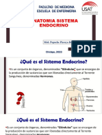 Anatomia Endocrino