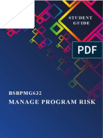Manage Program Risk: BSBPMG632