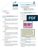 Human Histology Midterms: Epidermis, Dermis, Skin Appendages