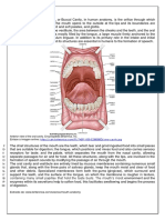Mouth Anatomy: Anterior View of The Oral Cavity. Encyclopædia Britannica, Inc