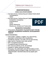 Clinical Bacteriology Finals 2.0: Gram Positive Bacili