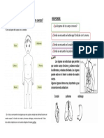 UNIDAD N°1: ¿Cómo Funciona Nuestro Cuerpo? Responde