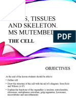 Cells, Tissues and Skeleton. Ms Mutembedza: The Cell