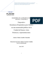 Dispositivo Residencia Hospitalaria para Madres en Una Maternidad Pública de La Ciudad de Buenos Aires. Prácticas y Representaciones