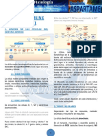 Sistema Inmune Innato Ii: 1. Génesis de Las Células Del Sistema Inmune