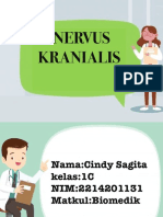 Nervus Kranialis