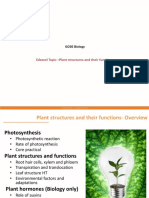 GCSE Biology - Plant structures and their functions overview
