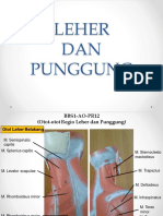 Leher DAN Punggung