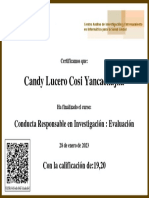 Candy Lucero Cosi Yancachajlla: Conducta Responsable en Investigación: Evaluación