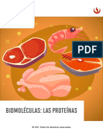 Biomoléculas: Las Proteínas: © UPC. Todos Los Derechos Reservados