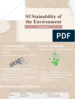 Sustainability of The Environment