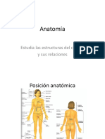 Anatomía Generalidades - 2