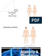 Anatomical Position, Directional Terms Body Planes and Main Cavities