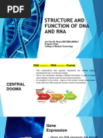 Structure and Function of Dna and Rna: Jon Paul M. Reyes, RMT, MBA, MSMLS Program Chair College of Medical Technology