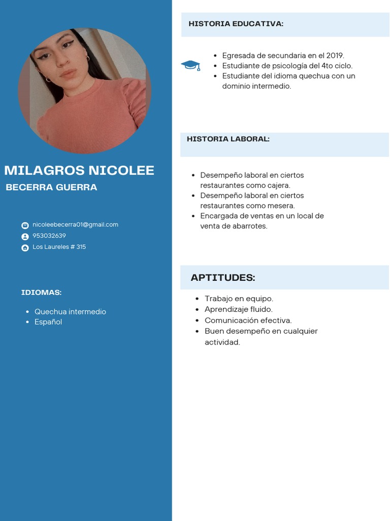 Blue Light Blue Color Blocks Flight Attendant CV PDF