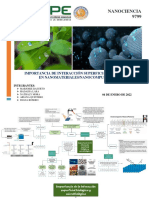 TALLER GRUPAL - Nanocompuestos e Importancia de Interacción Superficial Biológica en Nanomateriales