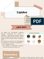 Lípidos: Rojo Barrera Danna Sahad Paola Sánchez Garciarreyes Flores Avila Ernesto Fabián