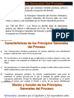 Principios Generales Del Proceso