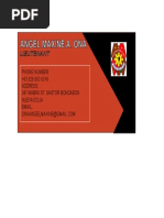 PDF Document