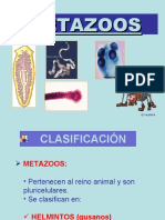 Parasitos - Helmintos