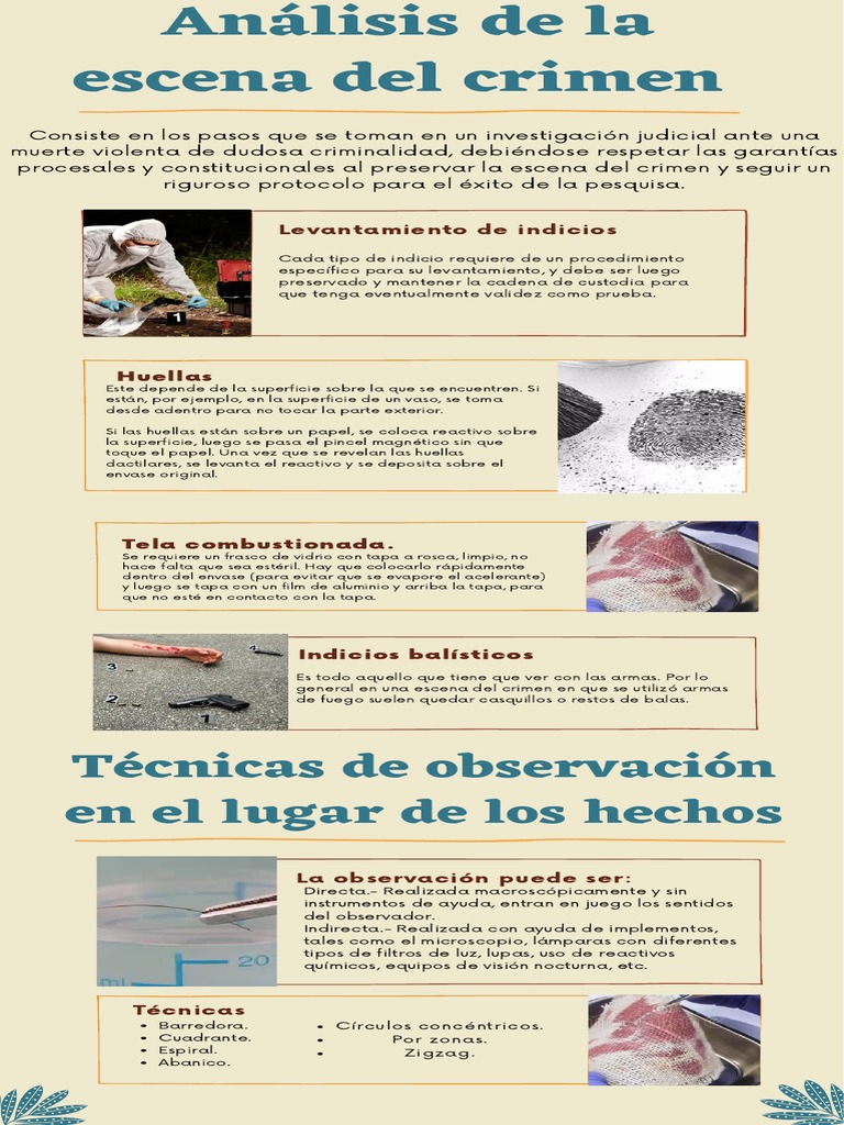 Análisis de La Escena Del Crimen | PDF | Ciencias fisicas