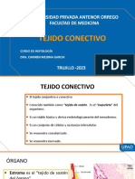 S4-Teoria - Tejido Conectivo - 2023 - 10