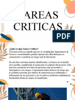 Areas Criticas