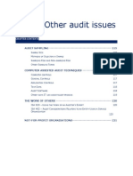 Other Audit Issues