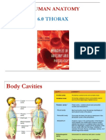 Human Anatomy: 6.0 Thorax