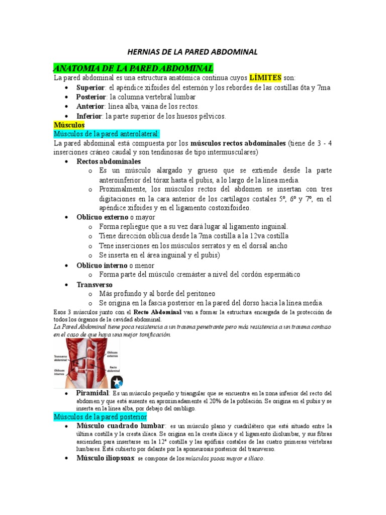 Hernias de La Pared Abdominal | PDF | Abdomen | Sistema musculoesquelético
