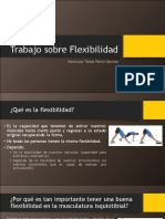 Trabajo Sobre Flexibilidad: Hecho Por Tómas Palma Sánchez