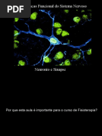 Organizacao Funcional Do Sistema Nervoso