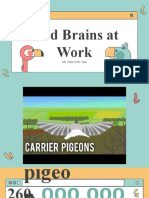 2 Bird Brains at Work
