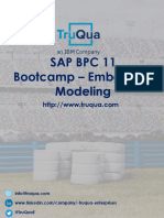 SAP BPC 11.x Bootcamp Training Embedded Modeling - FINAL
